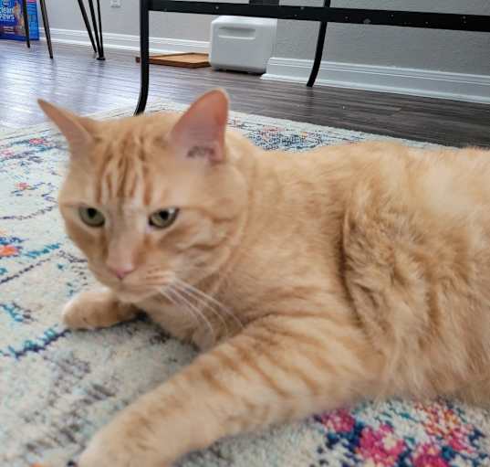 Photo of Lenny