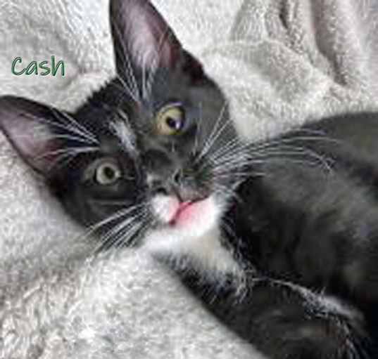 Photo of Cash