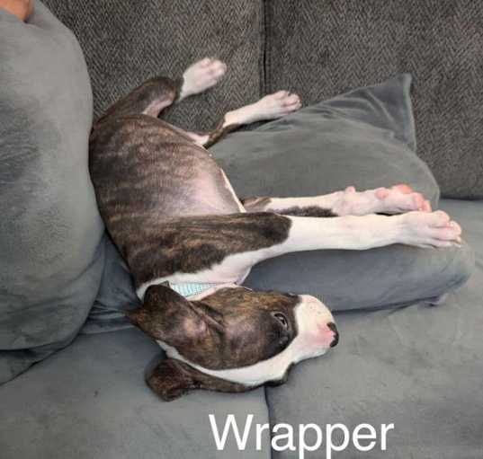 Photo of Wrapper