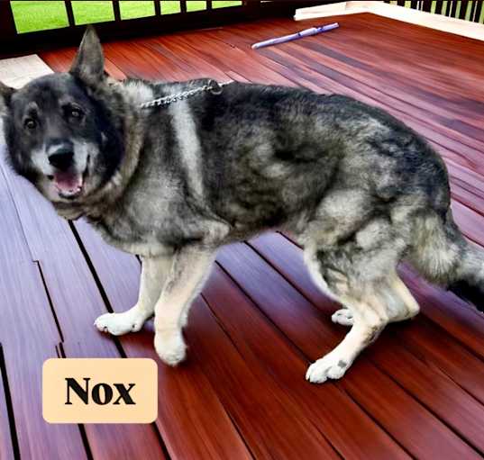 Photo of Nox