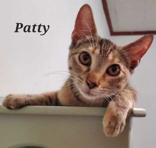 Photo of Patty