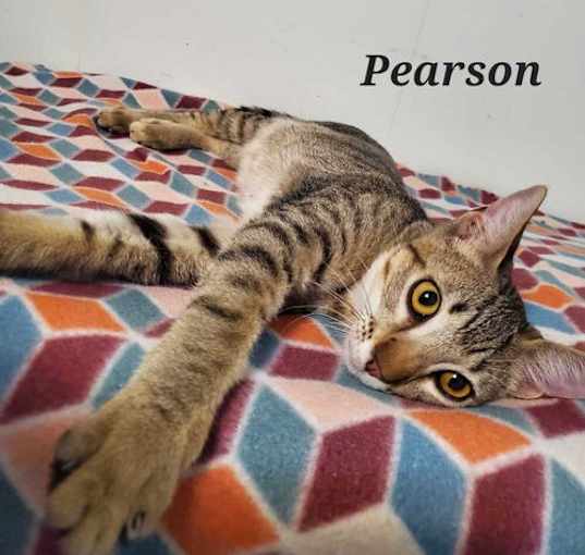 Photo of Pearson