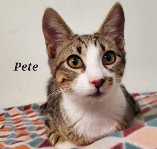 Photo of Pete