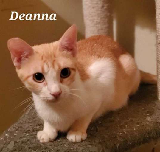 Photo of Deanna