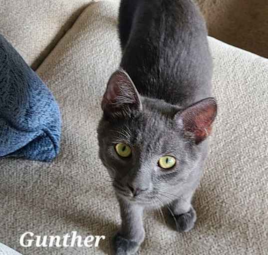 Photo of Gunther