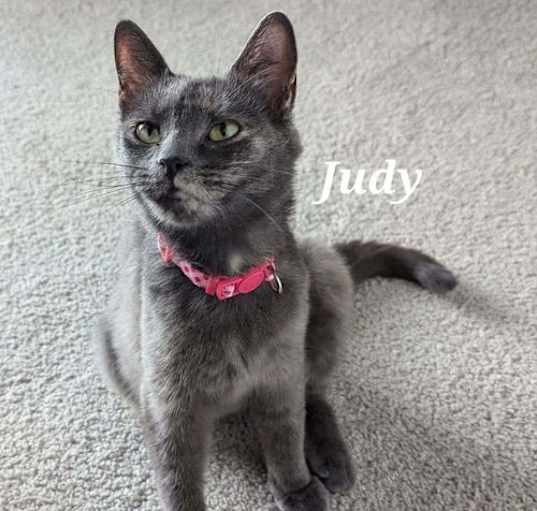 Photo of Judy