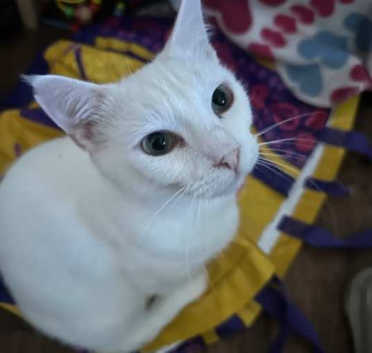 Photo of Joelle