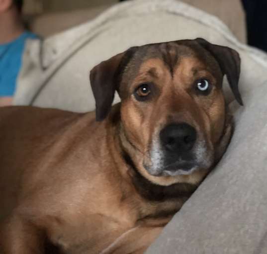 Photo of Blue