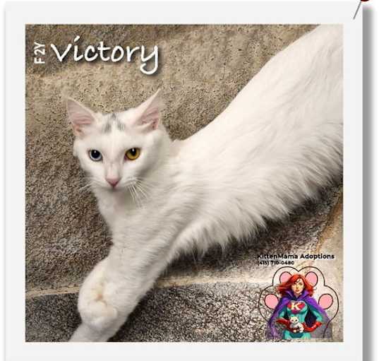 Photo of Victory