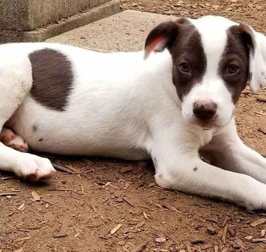 Photo of Bingo