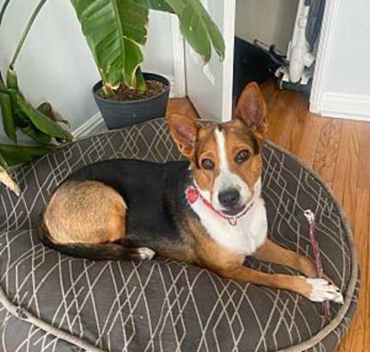 Photo of Macks