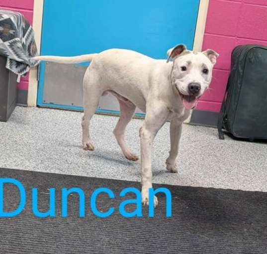 Photo of Duncan