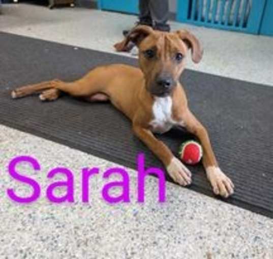 Photo of Sarah