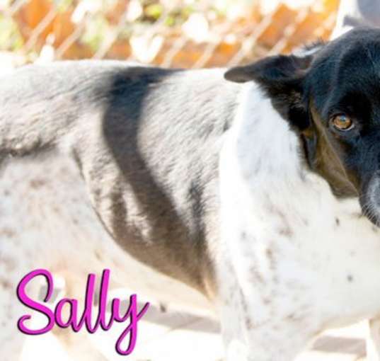 Photo of Sally