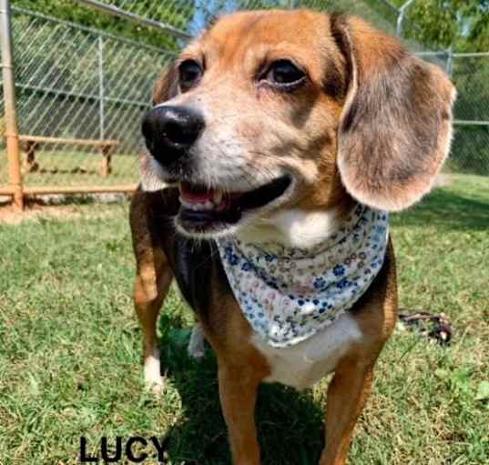 Photo of Lucy