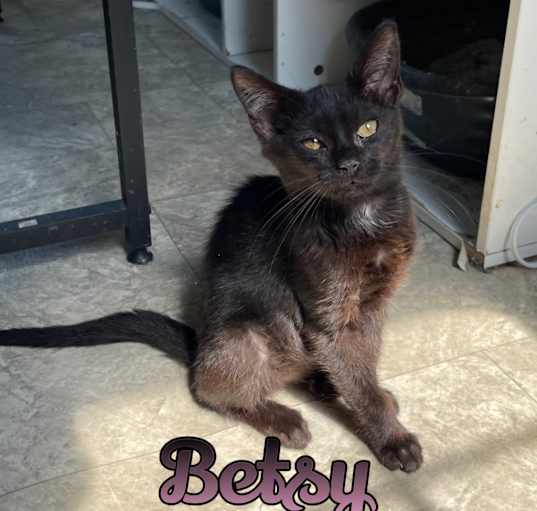 Photo of Betsy