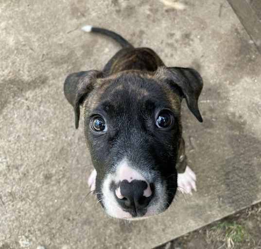 Photo of Lucy in the Sky