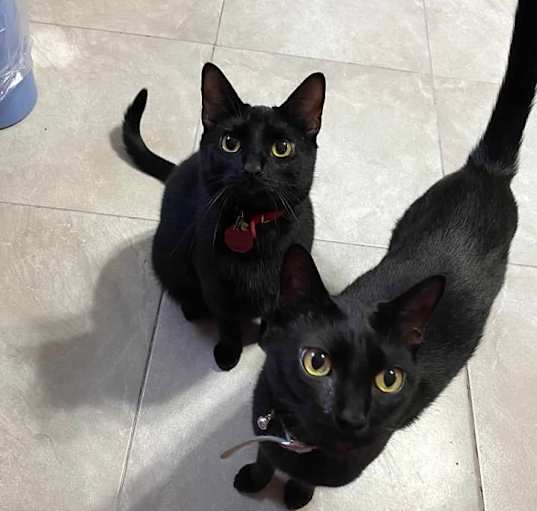 Photo of Thomas and Jack
