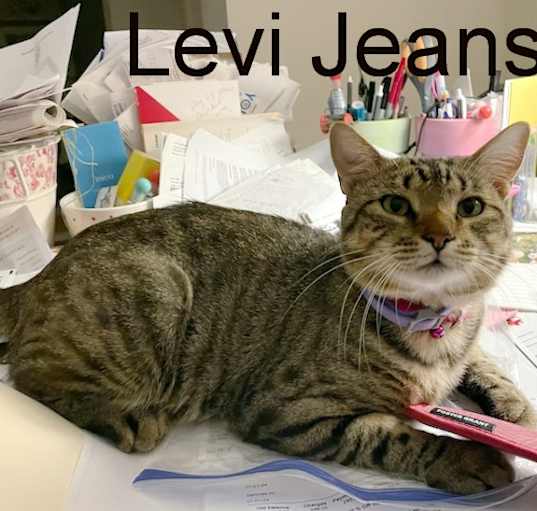 Photo of Levi Jeans