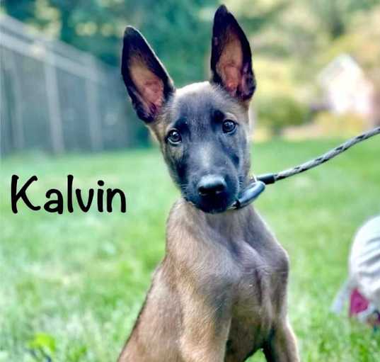 Photo of Kalvin