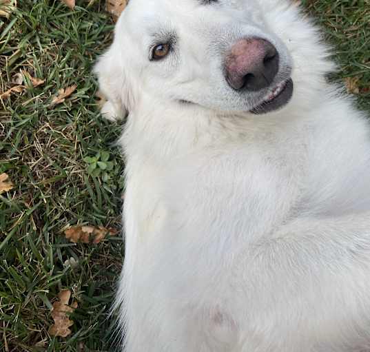 Photo of CASPER