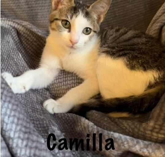 Photo of Camilla