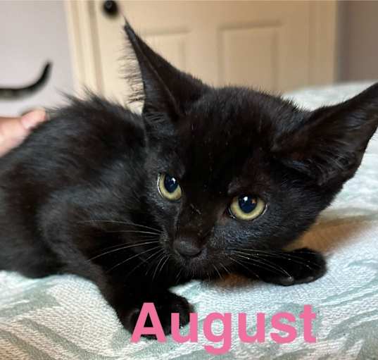 Photo of August