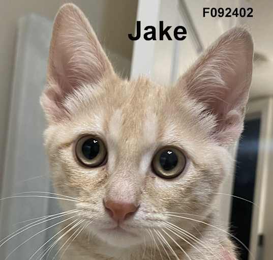 Photo of Jake