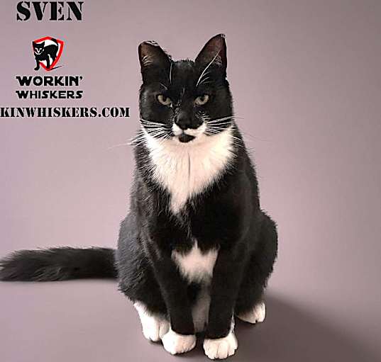 Photo of SVEN