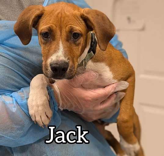 Photo of Jack