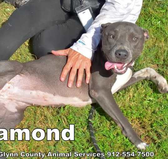 Photo of DIAMOND