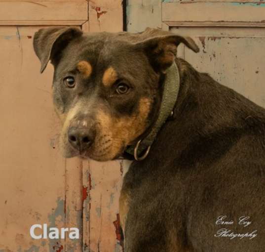 Photo of Clara