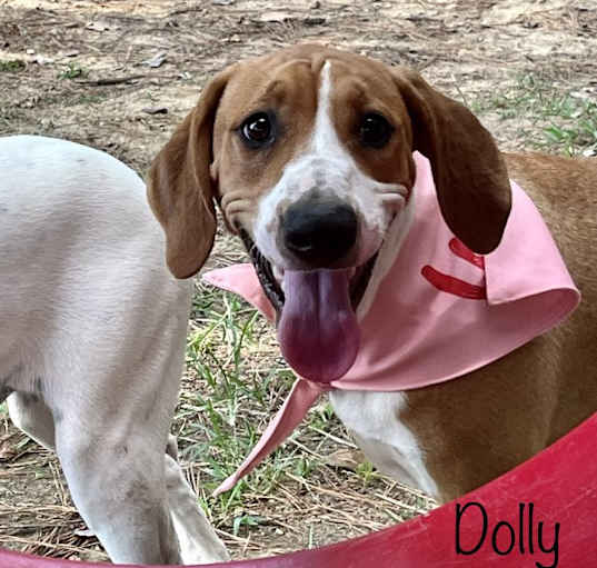 Photo of Dolly Pawton