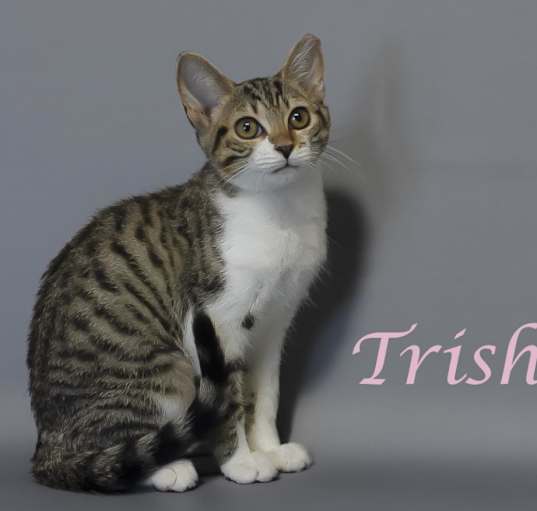 Photo of Trish C24-254