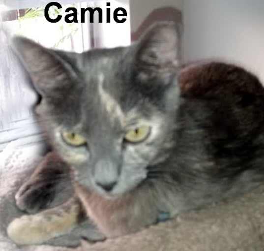 Photo of Camie