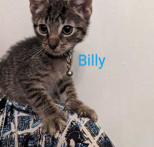 Photo of Billy