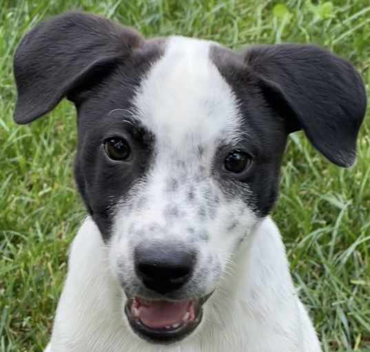 Photo of Hayride Honey