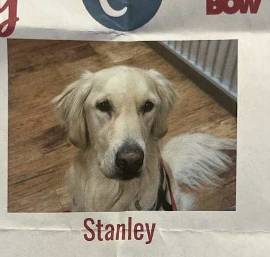 Photo of Stanley