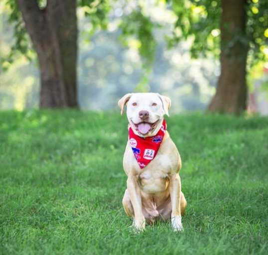 Photo of Otto