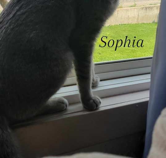 Photo of Sophia