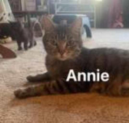 Photo of Annie