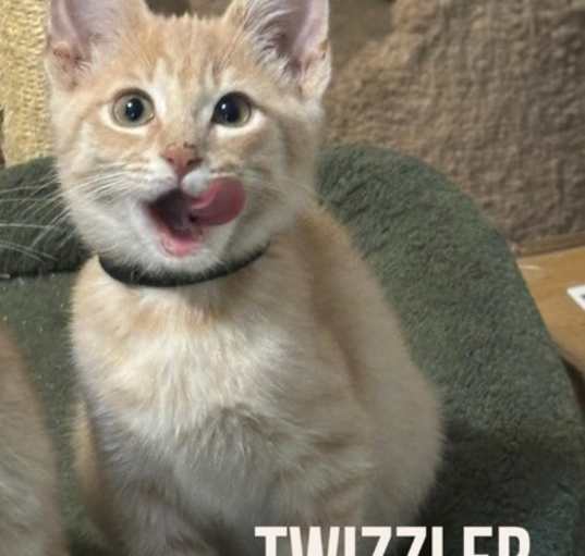 Photo of Twizzler