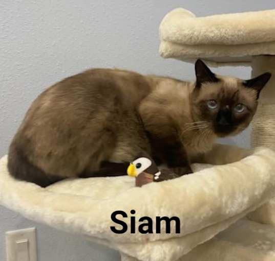 Photo of SIAM