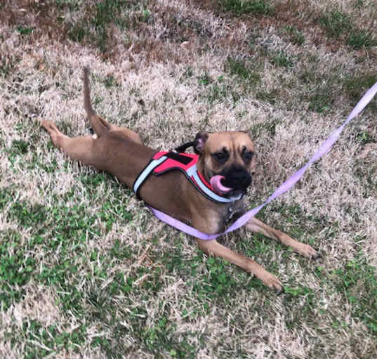 Photo of MILO