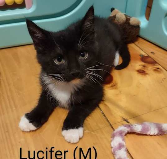 Photo of Lucifer