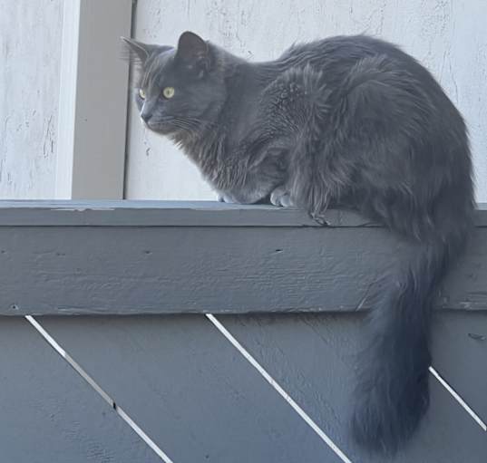 Photo of Ria