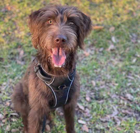 Photo of Charlie