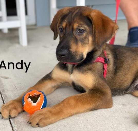 Photo of Andy