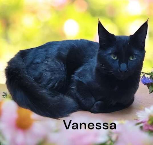 Photo of Vanessa