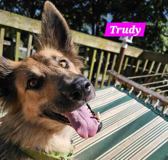 Photo of Trudy